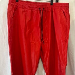 Vibrant Red Women's Faux Leather Pants size 4X
